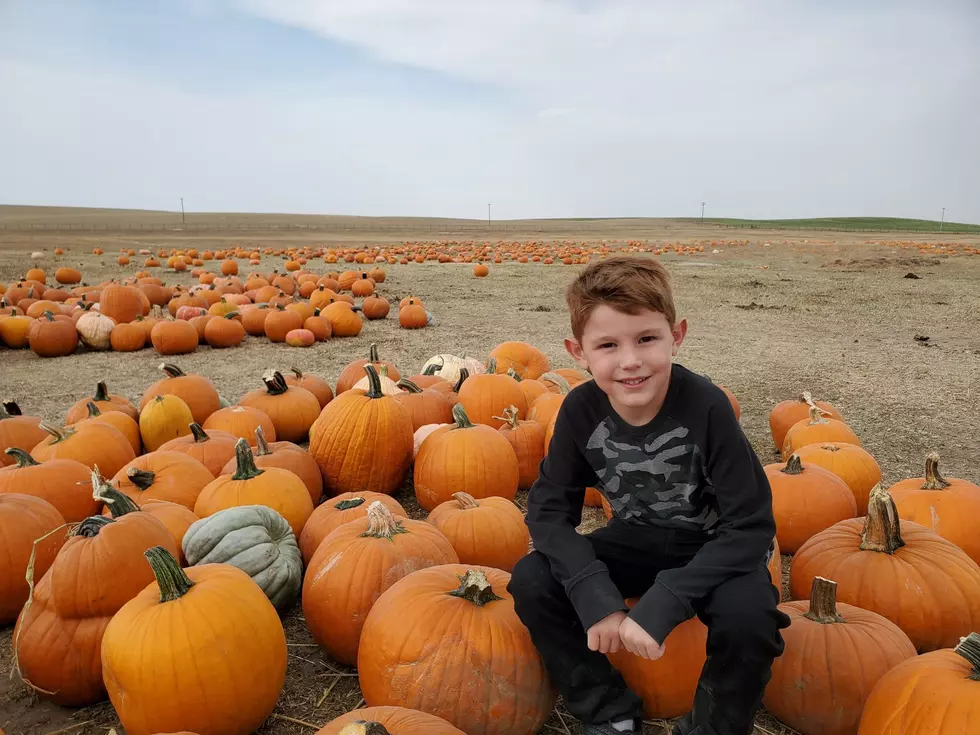 Madison River Ranch Pumpkin Patch Pics