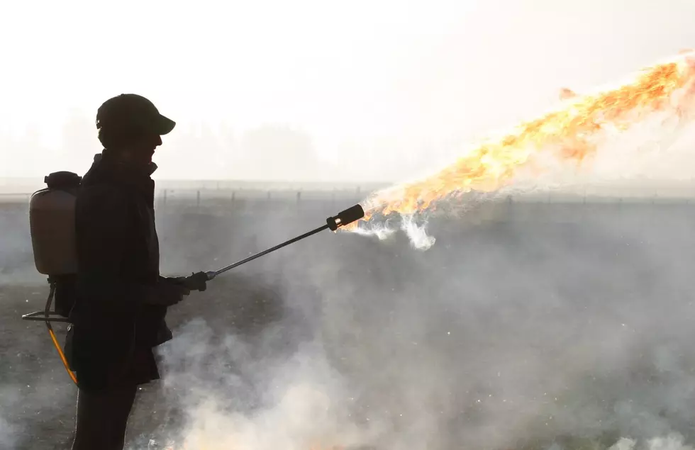 Flamethrower to Clear Snow or Snow Blower? Watch & Decide