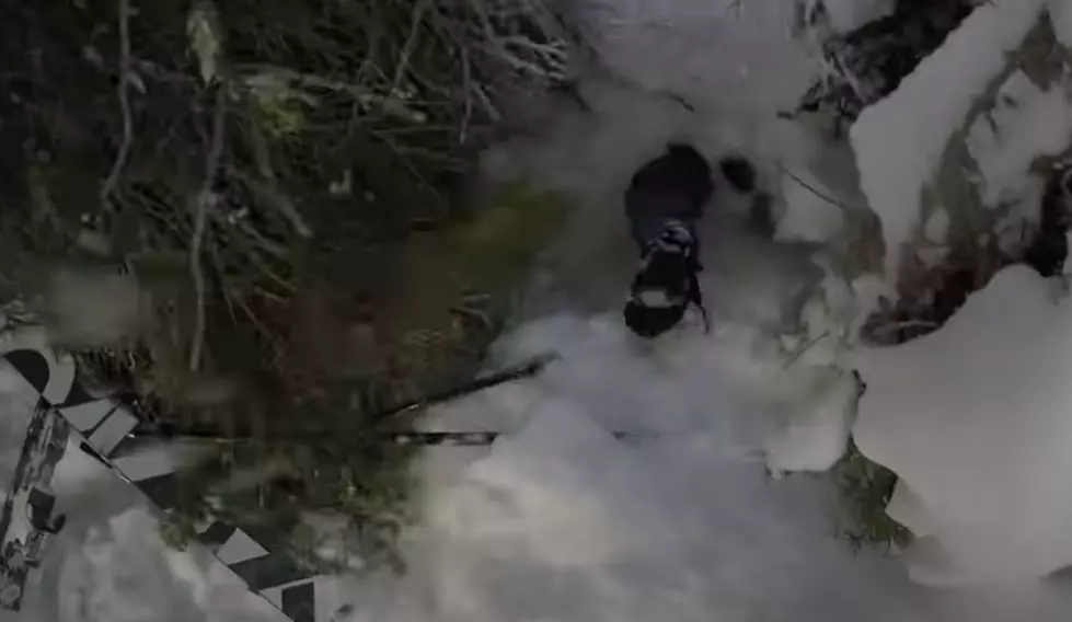 Scary Ski Moment For Dad Who Loses Son in Tree Well