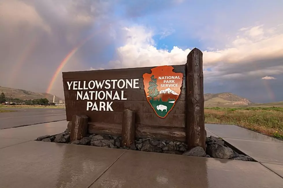 Yellowstone National Park Open For Business. Here's The Details