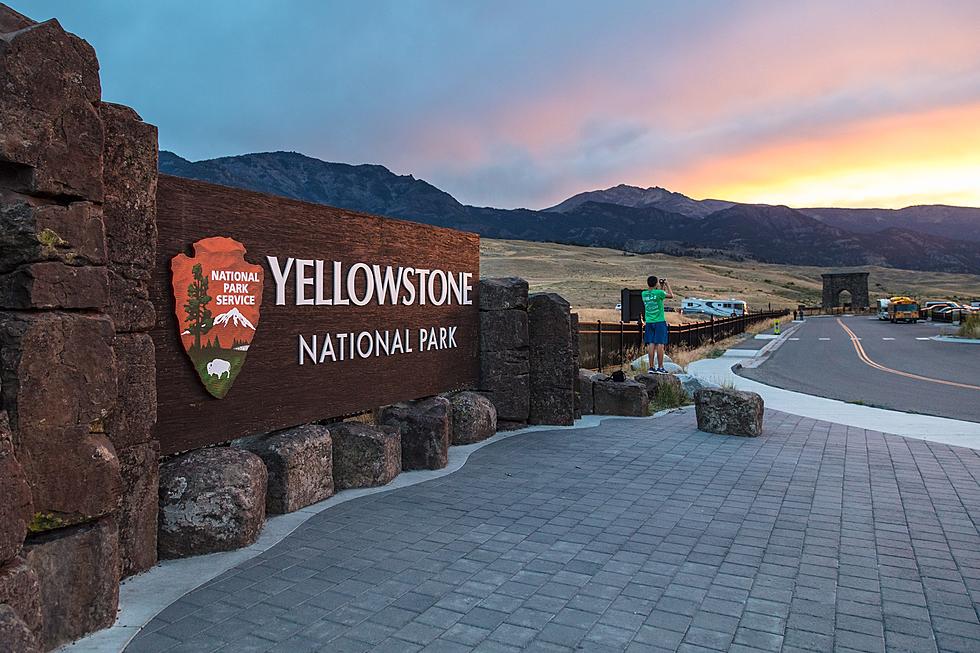 Tips For Visiting Yellowstone National Park During Tourist Season