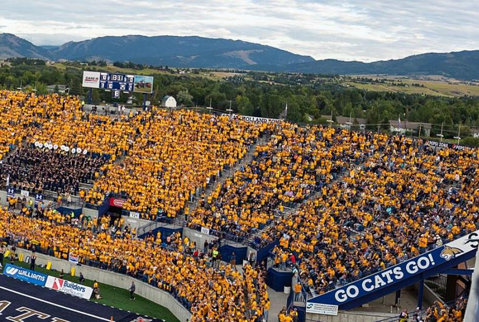 Get Your Limited-Edition Montana State Bobcat 'Gold Rush' T-Shirt