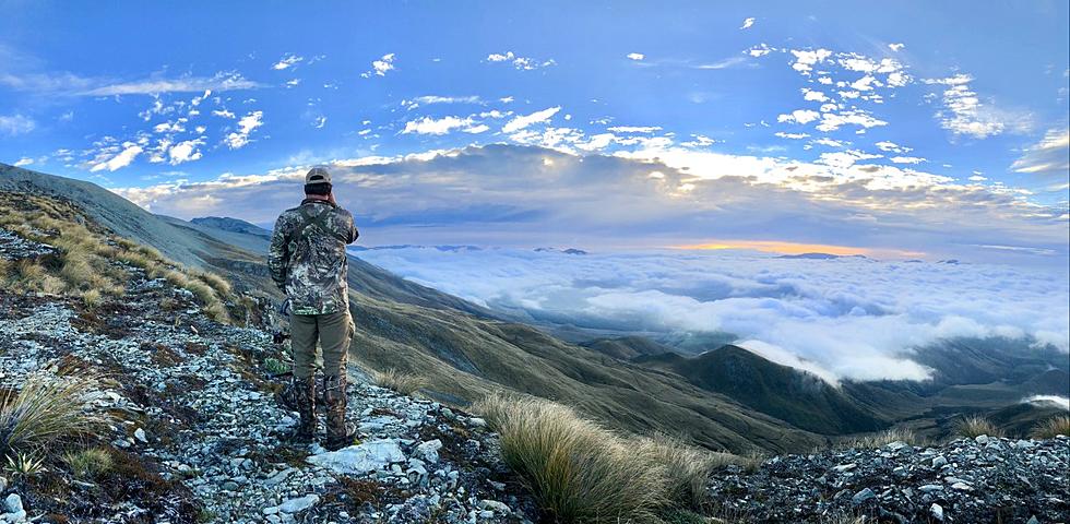 [Video] One Mans Montana Bear Hunt Before The Storm Was A Success