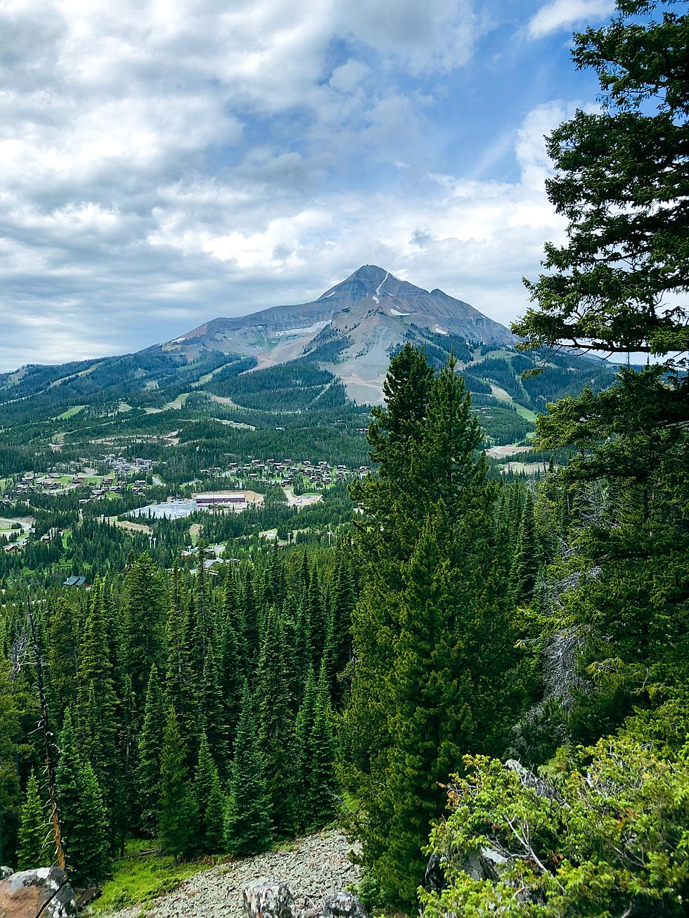 Big Sky Cuisine? Here’s The Top Picks For Montana’s Favorite Food