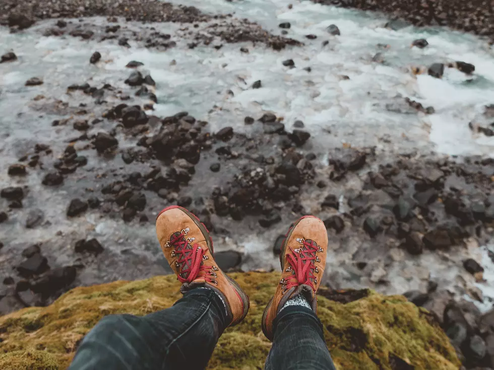 Who Shares Montana Trails With You And How To Identify Them