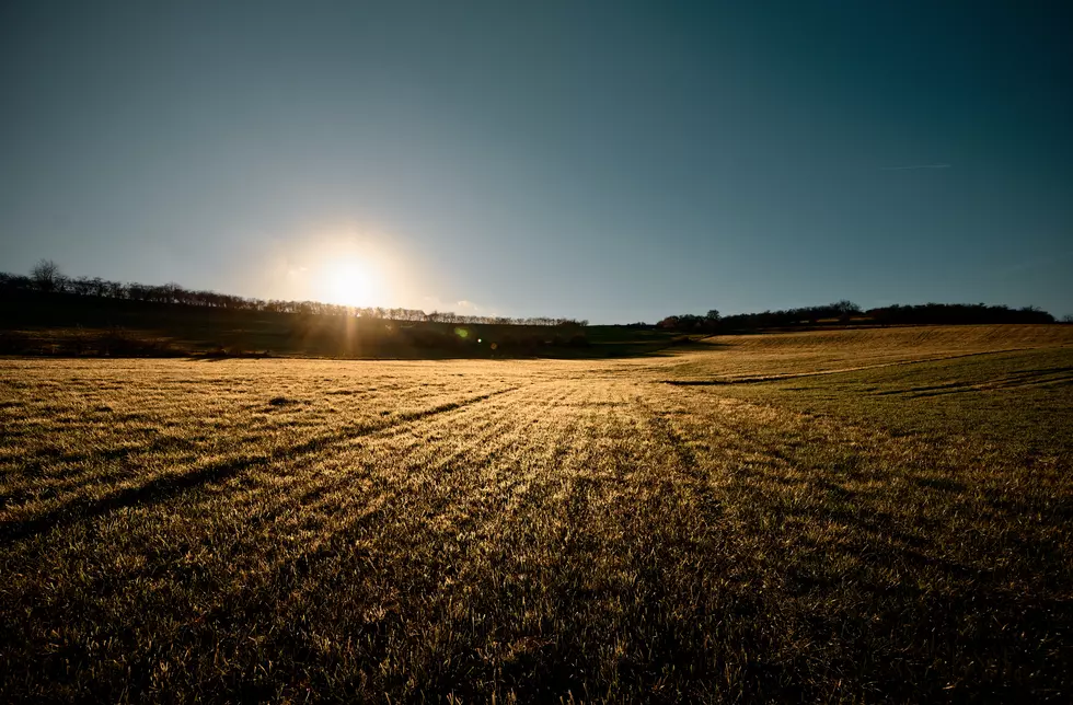 Are You Part Of The "Make Believe Montana"? If Yes, Please Stop