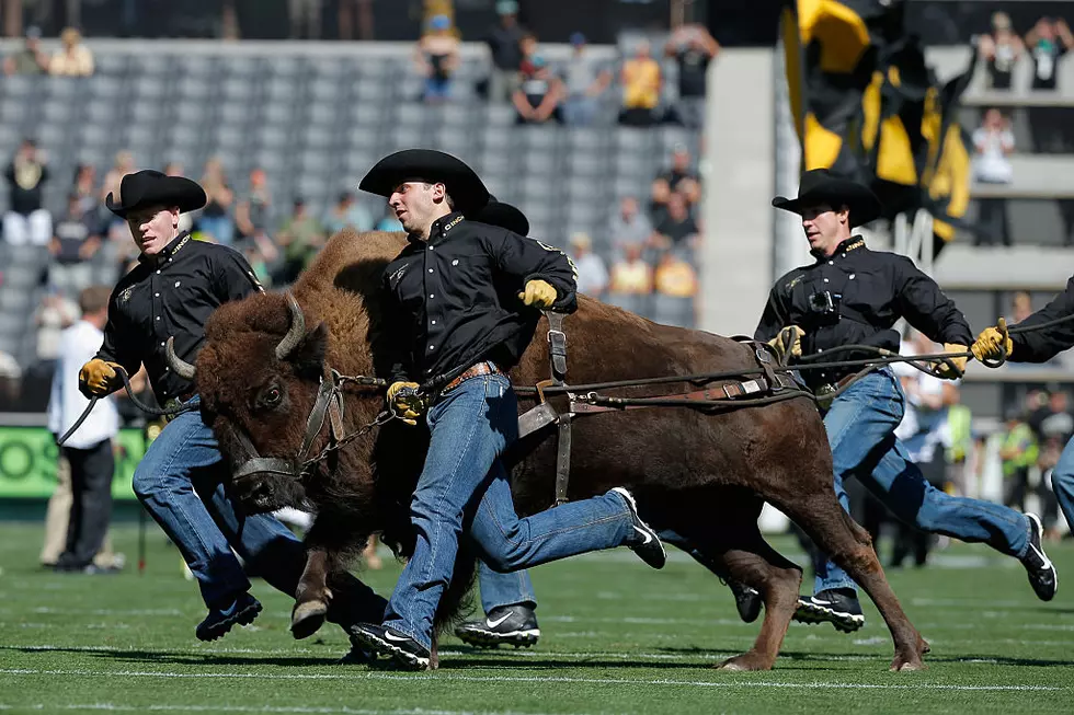 Popular Montana Football Coach In The Running For A New Job?