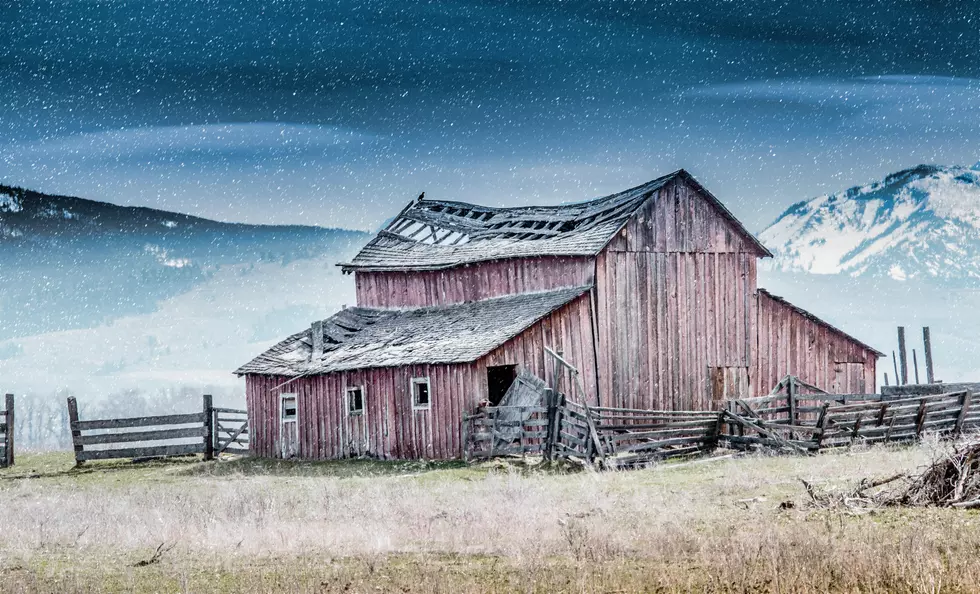 Photo by Dick Hoskins on Unsplash