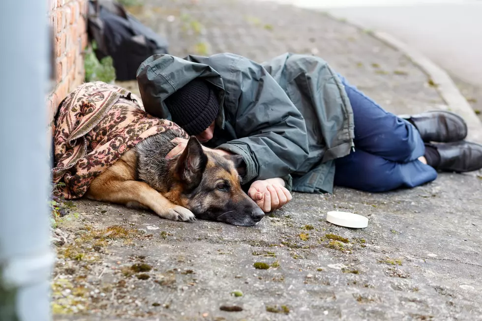 obdachloser Mann mit seinem Hund