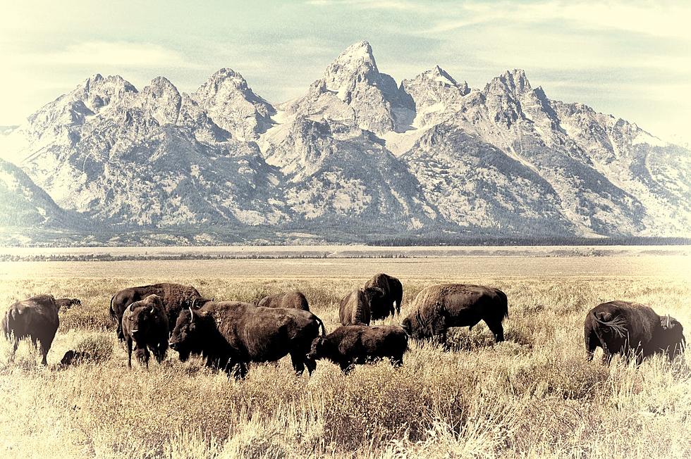 What Is The Top Ranked Movie Filmed In &#8220;Old West&#8221; Montana?