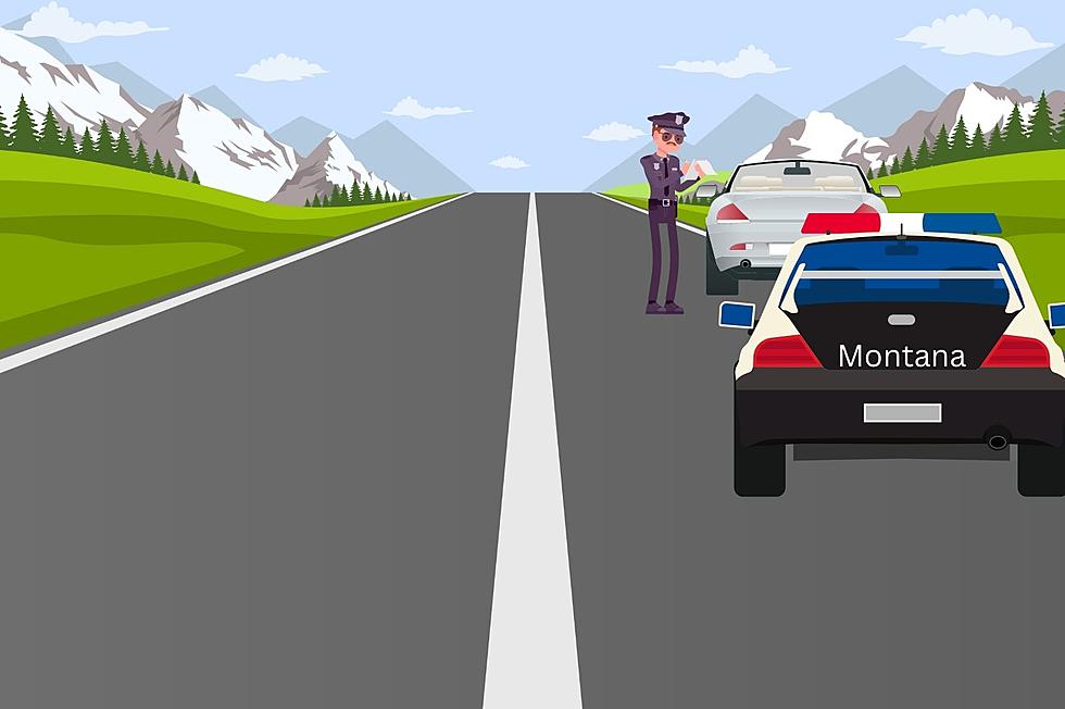 5 Super Easy Things To Do To Avoid Getting A Ticket In Montana