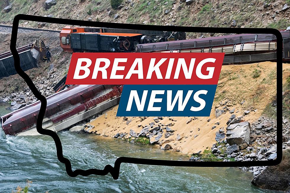 BREAKING: Montana Bridge Collapses, Train Lands In Popular River