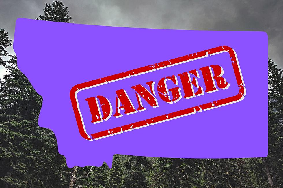 A Montana Tree With Purple Paint? Here’s What You Need To Know.