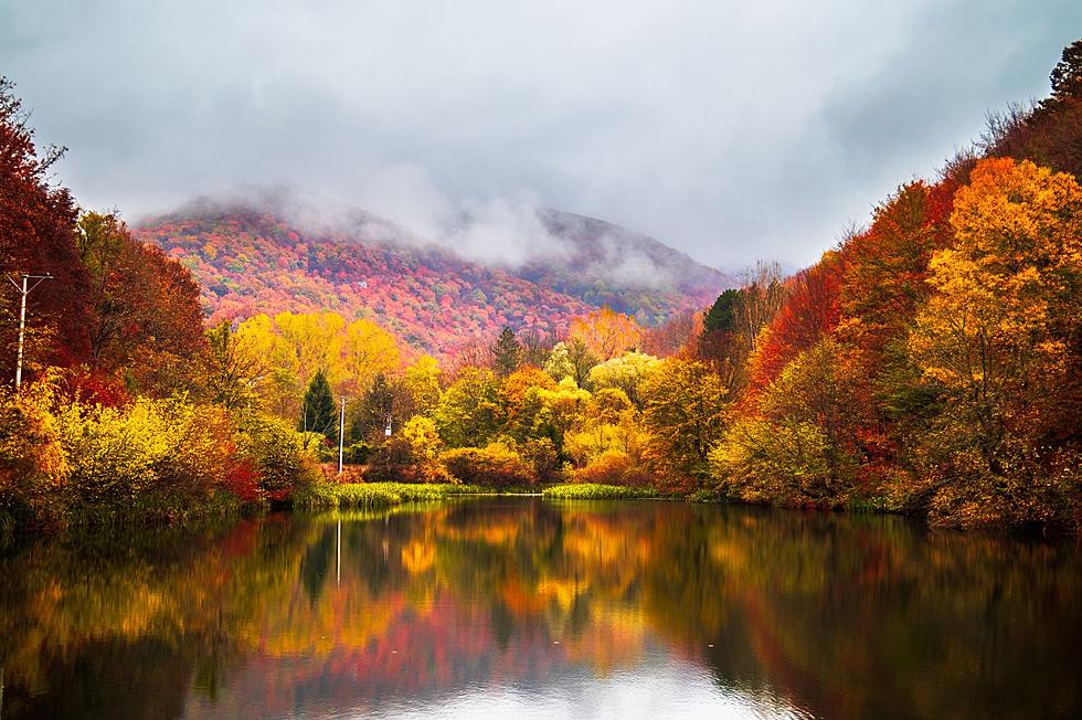 5 Perfect Reasons Montanans Absolutely Love Fall