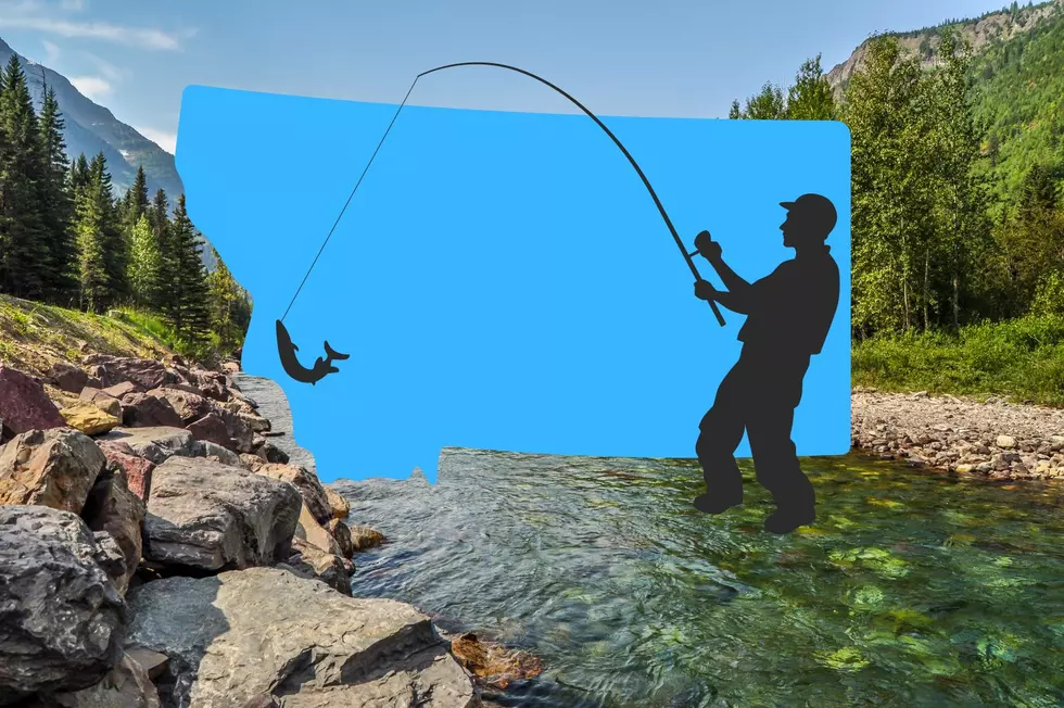 Fishing In Montana: What You Need To Know