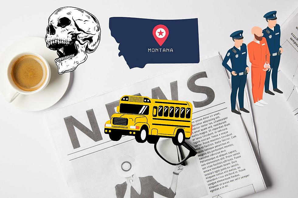 A Skull, Fraud, And New Busses. Montana News You Missed.
