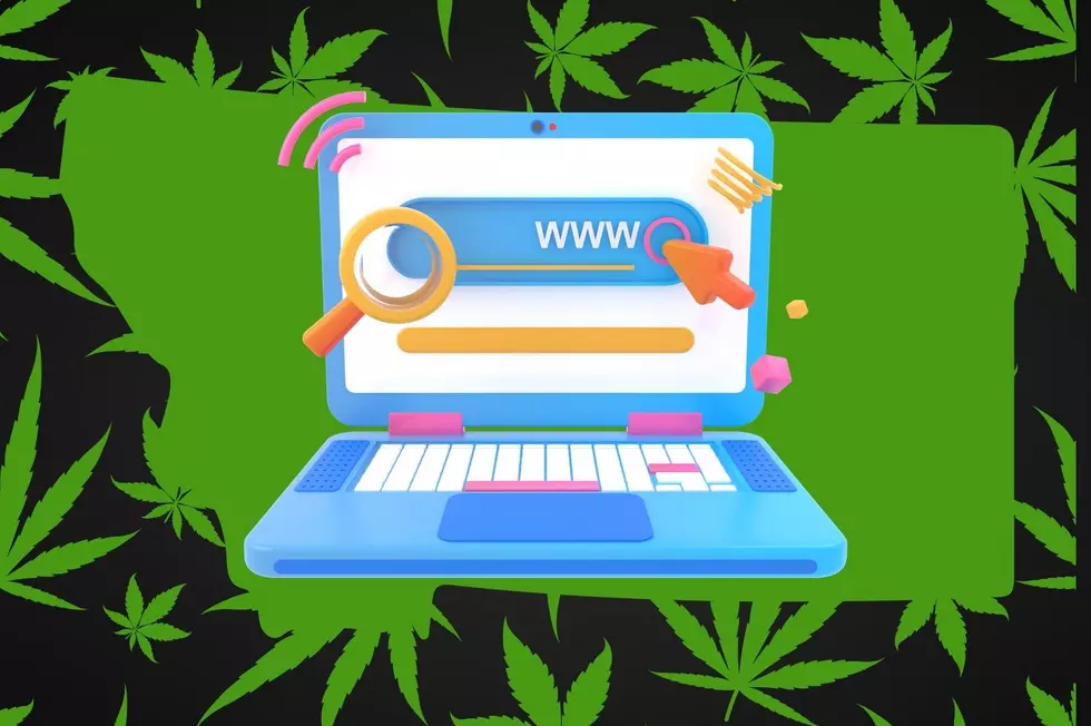 Montana Smokes Up Search Results: Top 10 for Cannabis