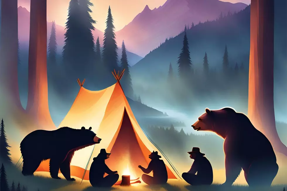 Montana Bear Season: How To Be Bear Aware
