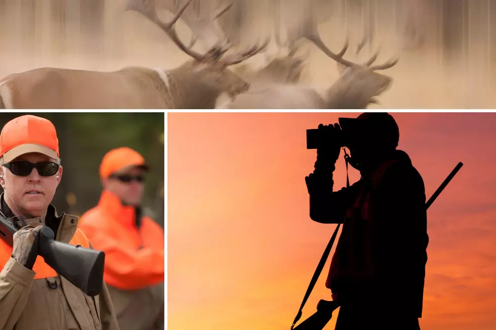 Top 5 Hunting States in the US: Montana Makes the Cut!