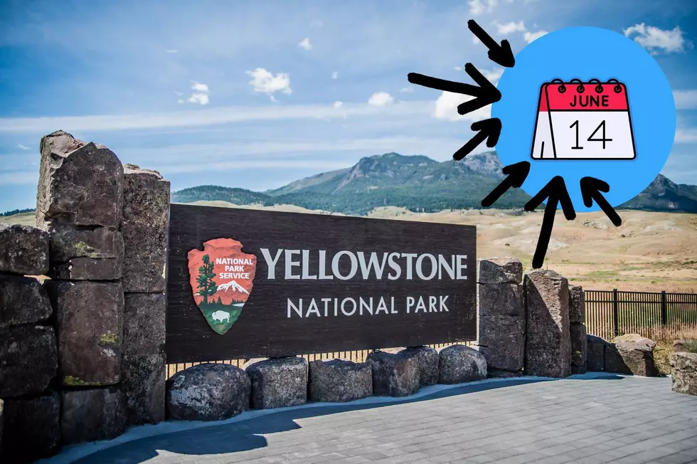 Limited Time Exhibit Opening At Yellowstone National Park