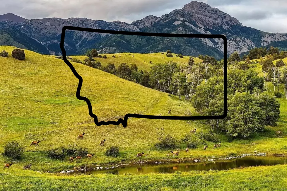 Credit: Canva and Zillow.com