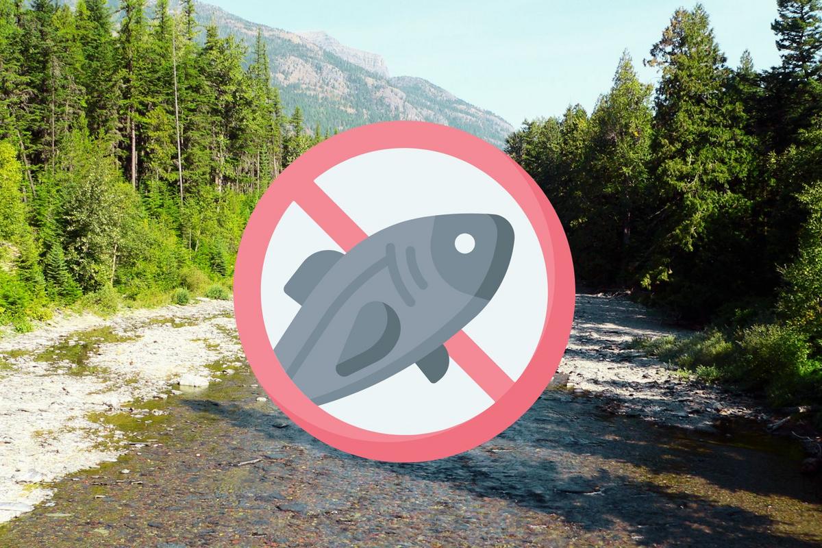 New Montana Fishing Restrictions Just Announced