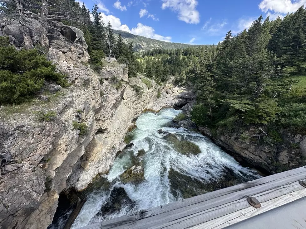 Credit: ACoutdoors