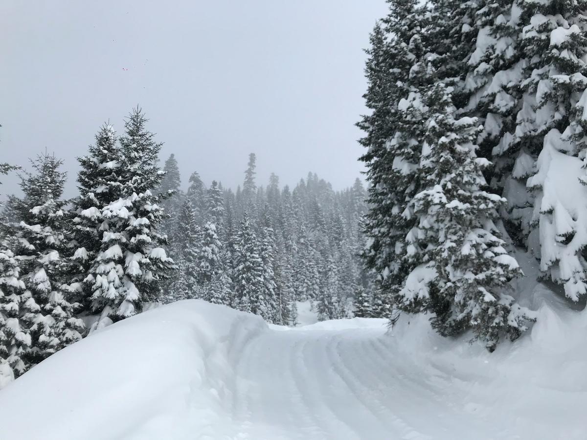 Which States Have A Harsher Winter Than Montana?