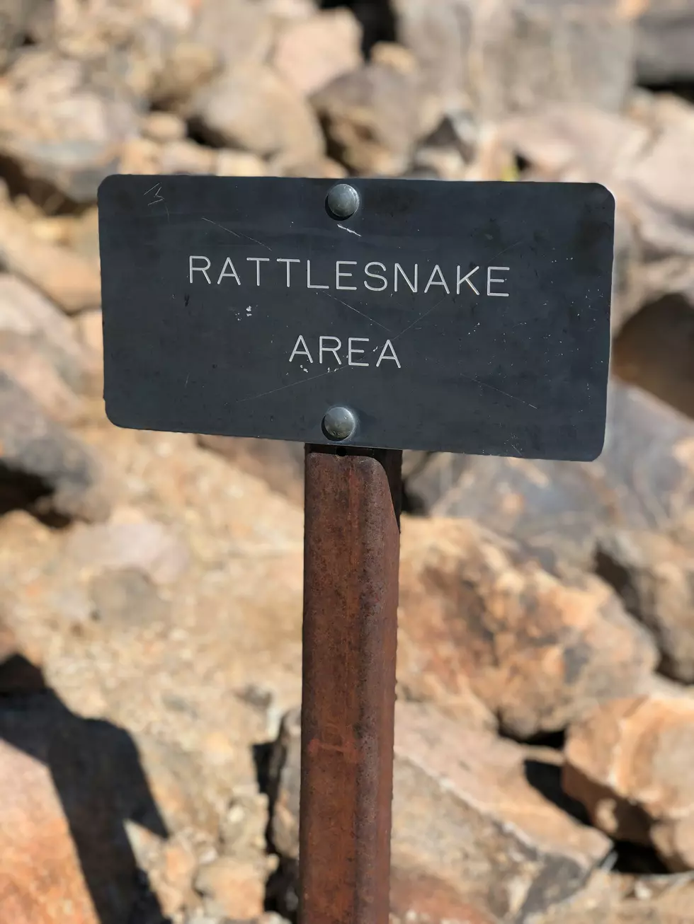 Child Bitten By Rattlesnake At Madison River Near Bozeman