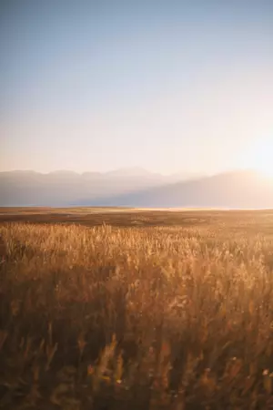Montana Is Ranked 17th For Underprivileged Children. Here's Why. 