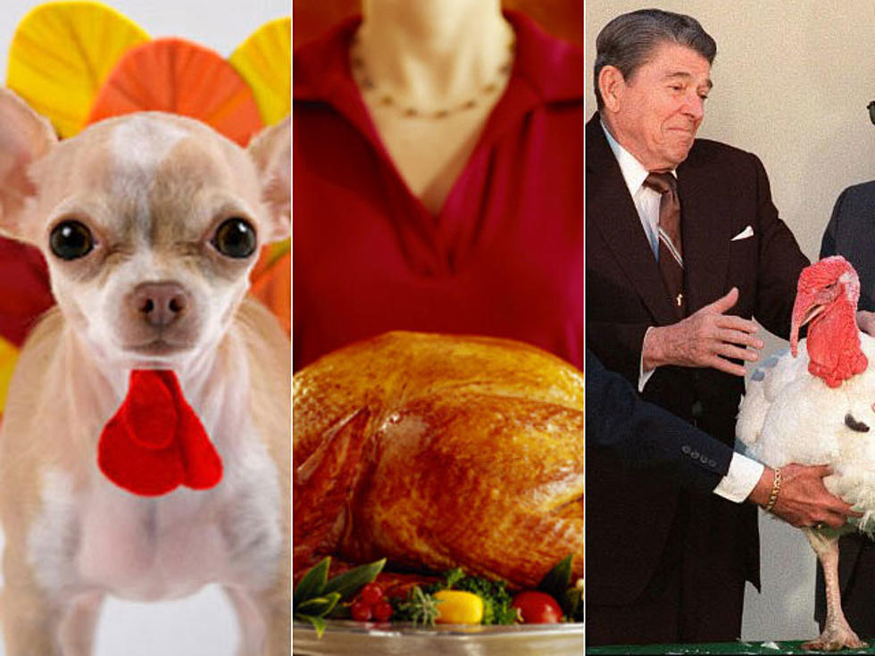 Thanksgiving Secrets, Tips, Recipes and More