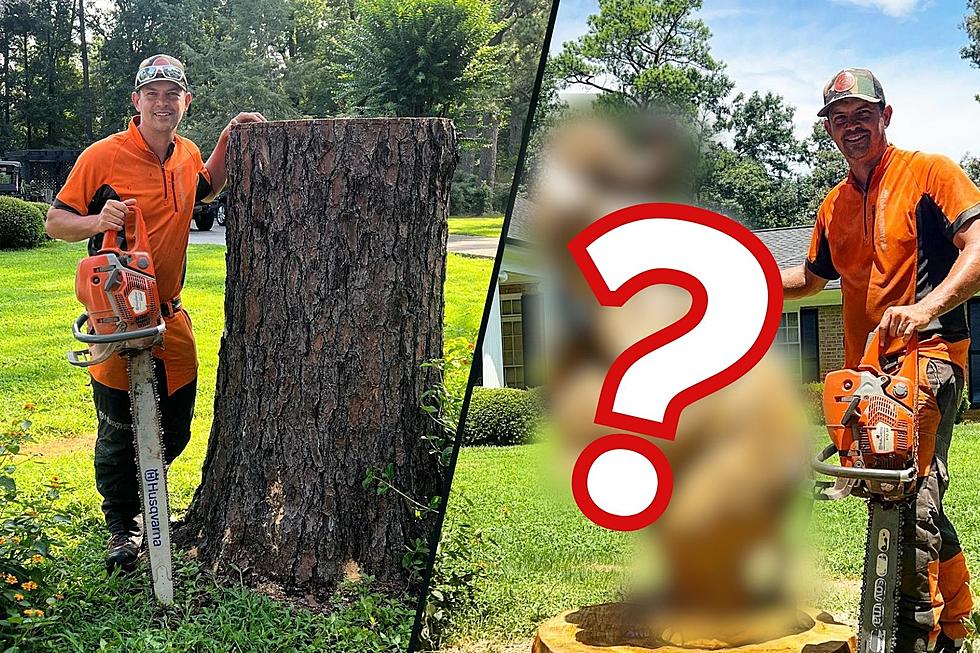 Tuscaloosa Stump Carving Gets 1.3M+ Views on TikTok