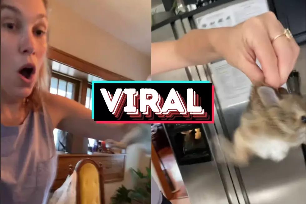 Kelly Cheese Went Viral On TikTok This Weekend
