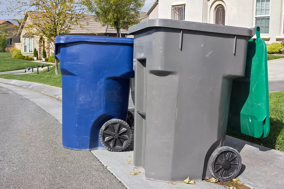 Trash Bin Ready for Pickup