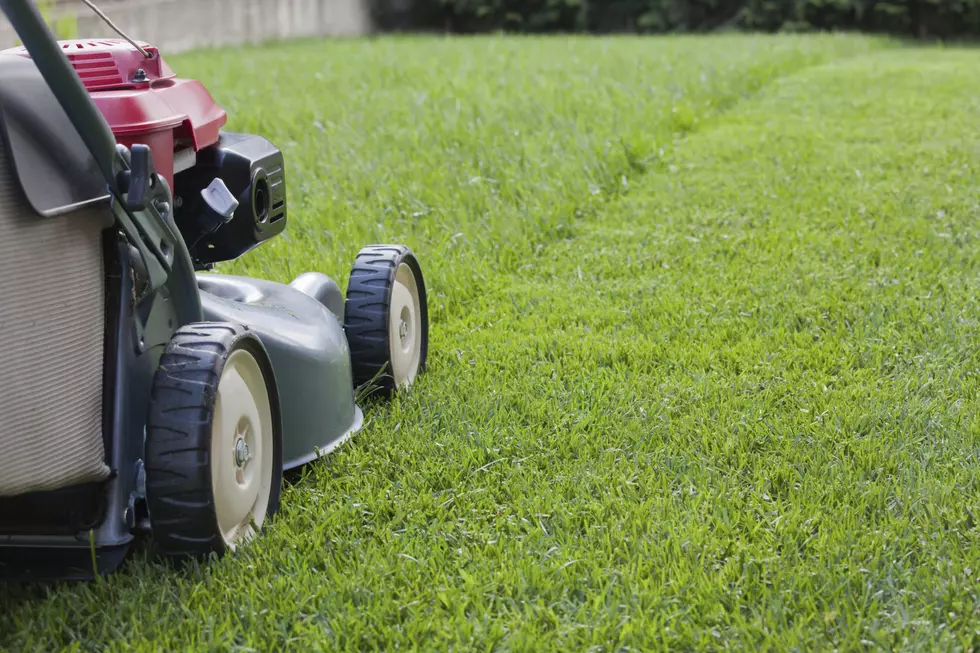 Mowing the grass