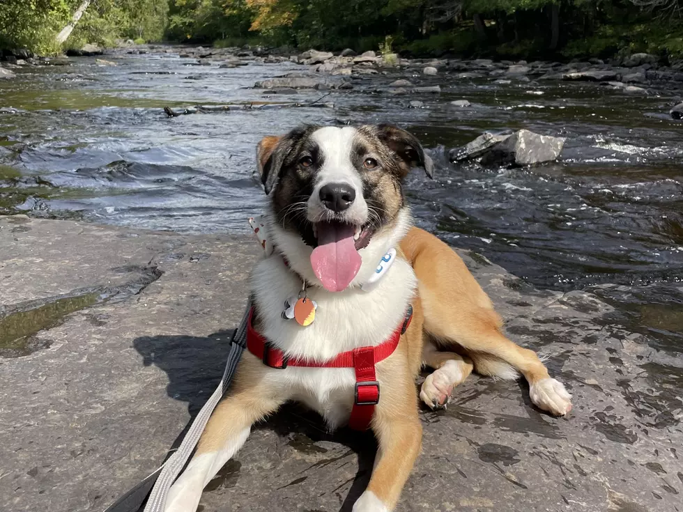 Bruce on his hike wearing his tracker. Credit: Jaci Bjorne, TSM