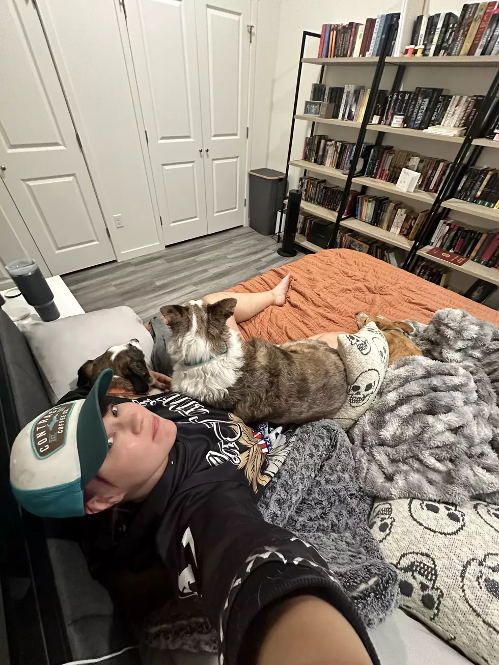 Three scared boys, hiding under, behind, and on top of their human. Credit: Jaci Bjorne, TSM