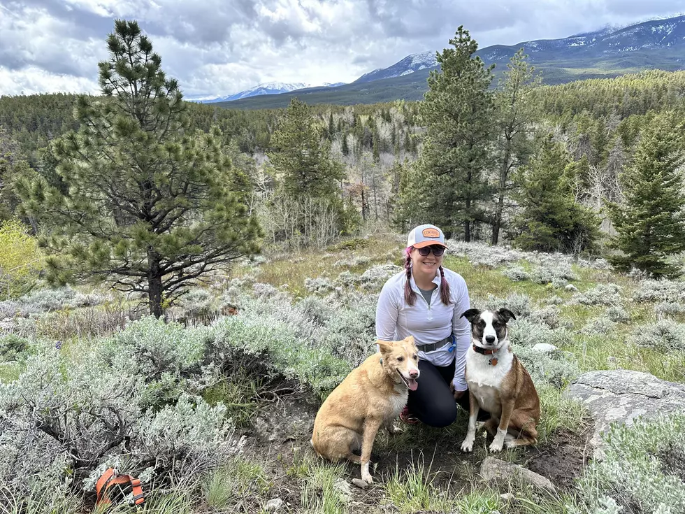 Hiking in the mountains with my adopted babies. Credit: Jaci Bjorne, TSM