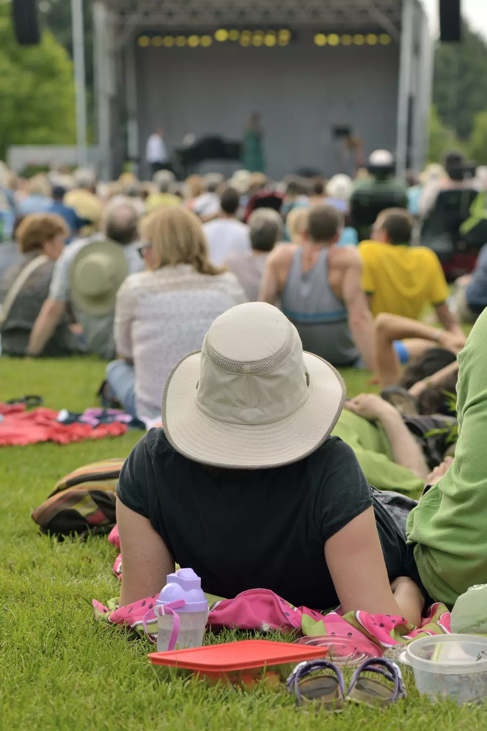 Fenton Concerts in the Park 2026 Schedule