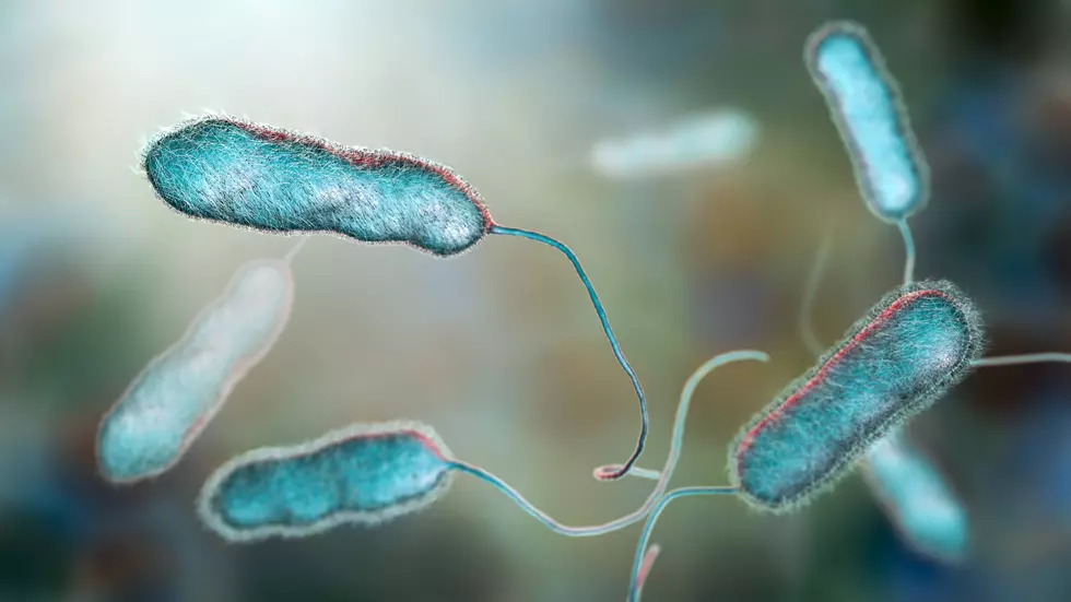 Dr_Microbe