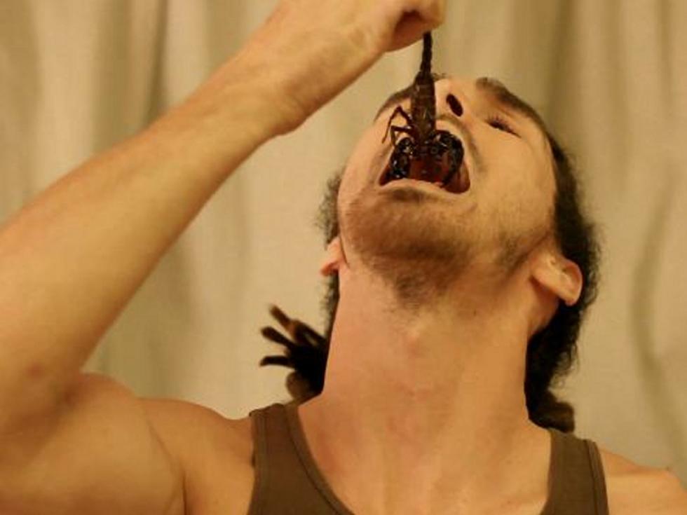 Man Eats Live Giant Scorpion and Lives to Tell About It [GRAPHIC VIDEO]