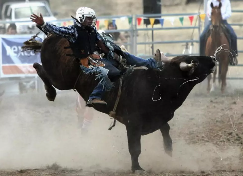 Check Out the Jr. Rodeo Finals at the NILE on Wednesday