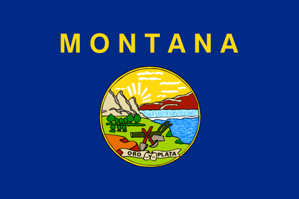 Most Popular Internet Search Terms in the State of Montana