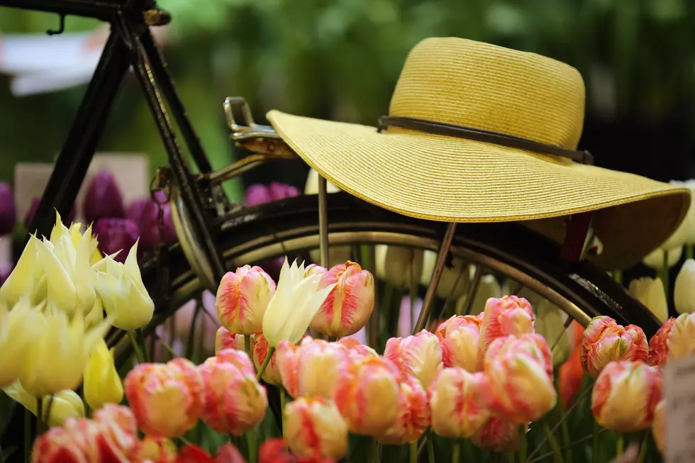 Celebrate Women and Flowers [Video]