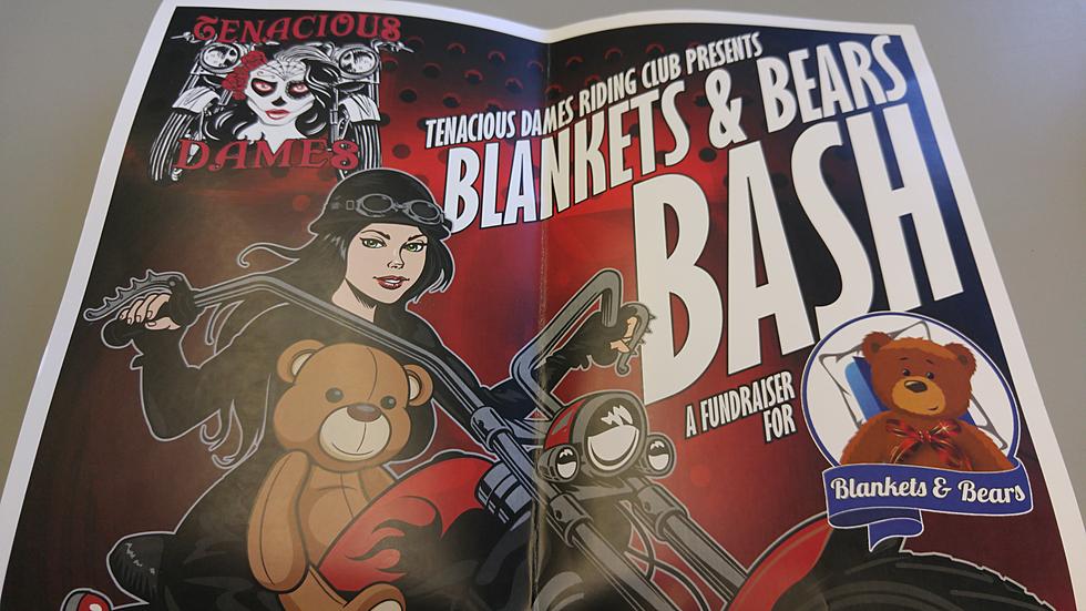 Tenacious Dames, Blankets & Bears Bash
