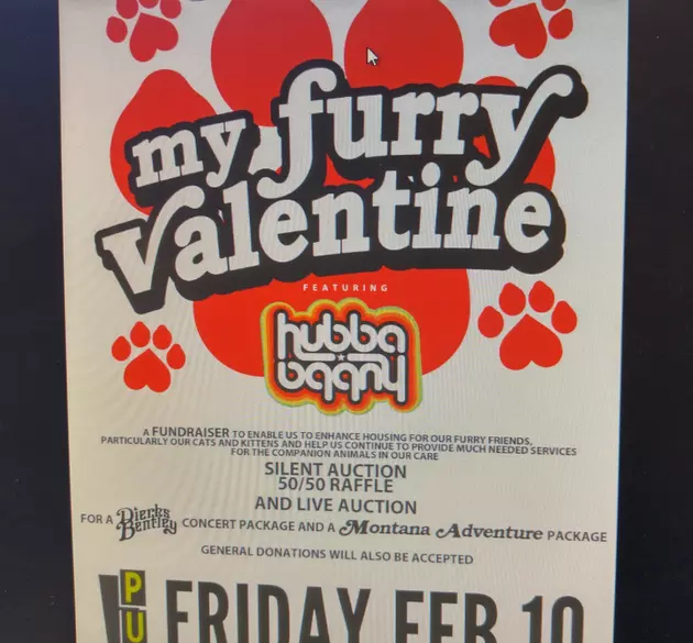 &#8216;My Furry Valentine&#8217; Benefit for YVAS