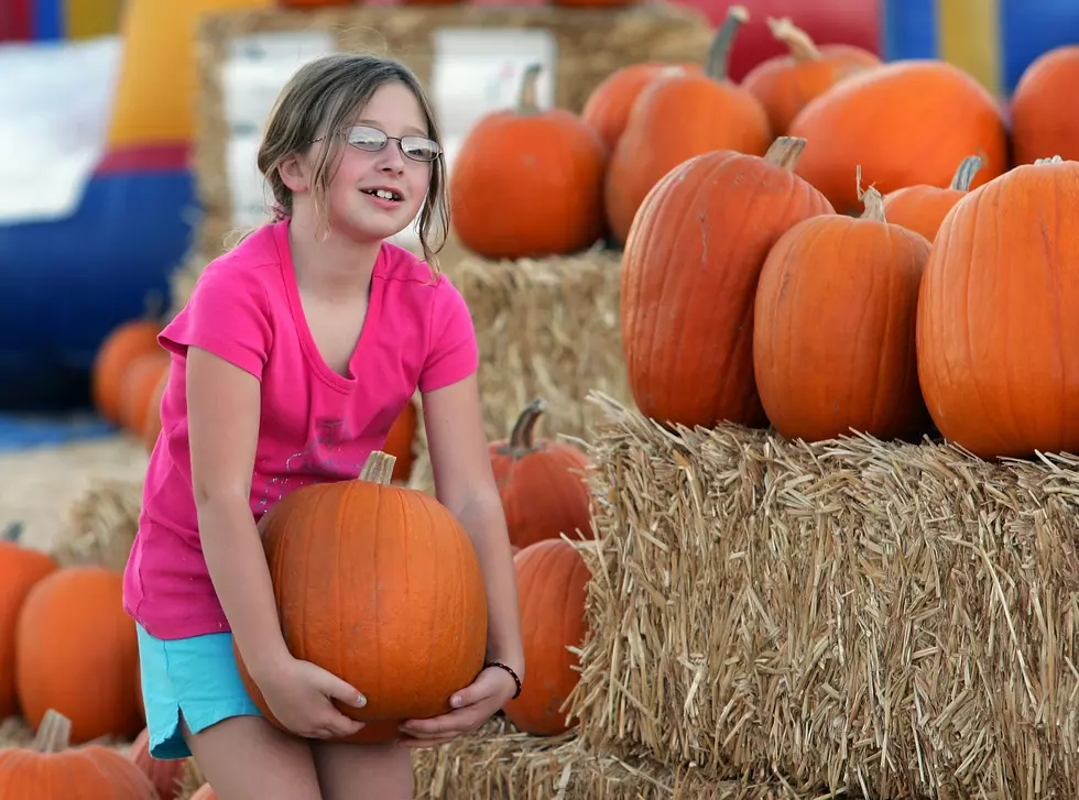 Pumpkin Patches are Open for 2019