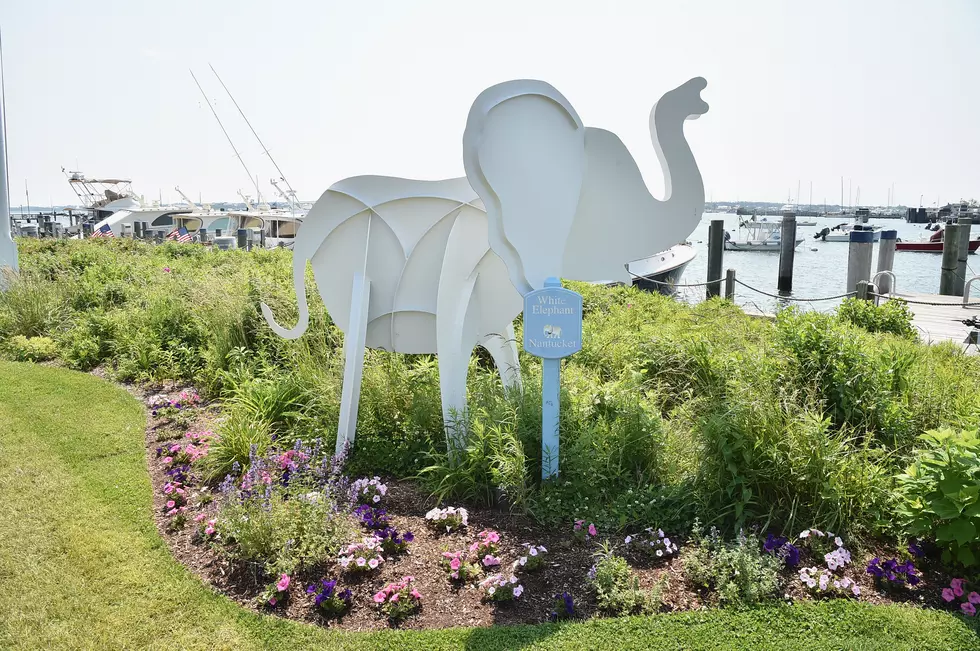 Hilarious White Elephant Gift Ideas