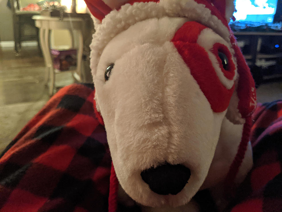 Santa Worked Overtime to Find My Kid a Target Dog