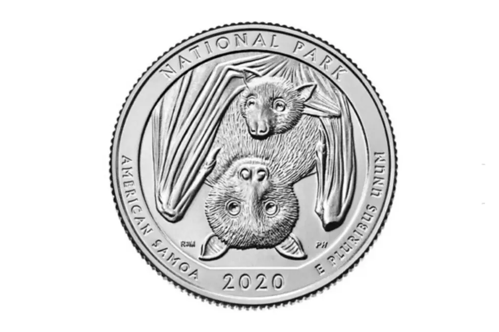 2020 Bat Quarters: An Eerie Coin-incidence 